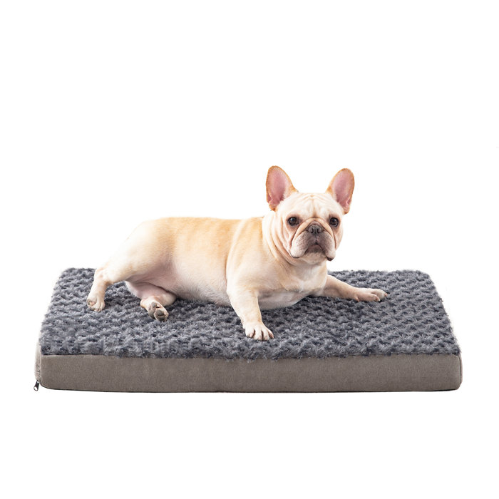 Tucker Murphy Pet™ Orthopedic Memory Foam Dog Bed, Cooling Dog Beds Waterproof Pet Bed For Crate